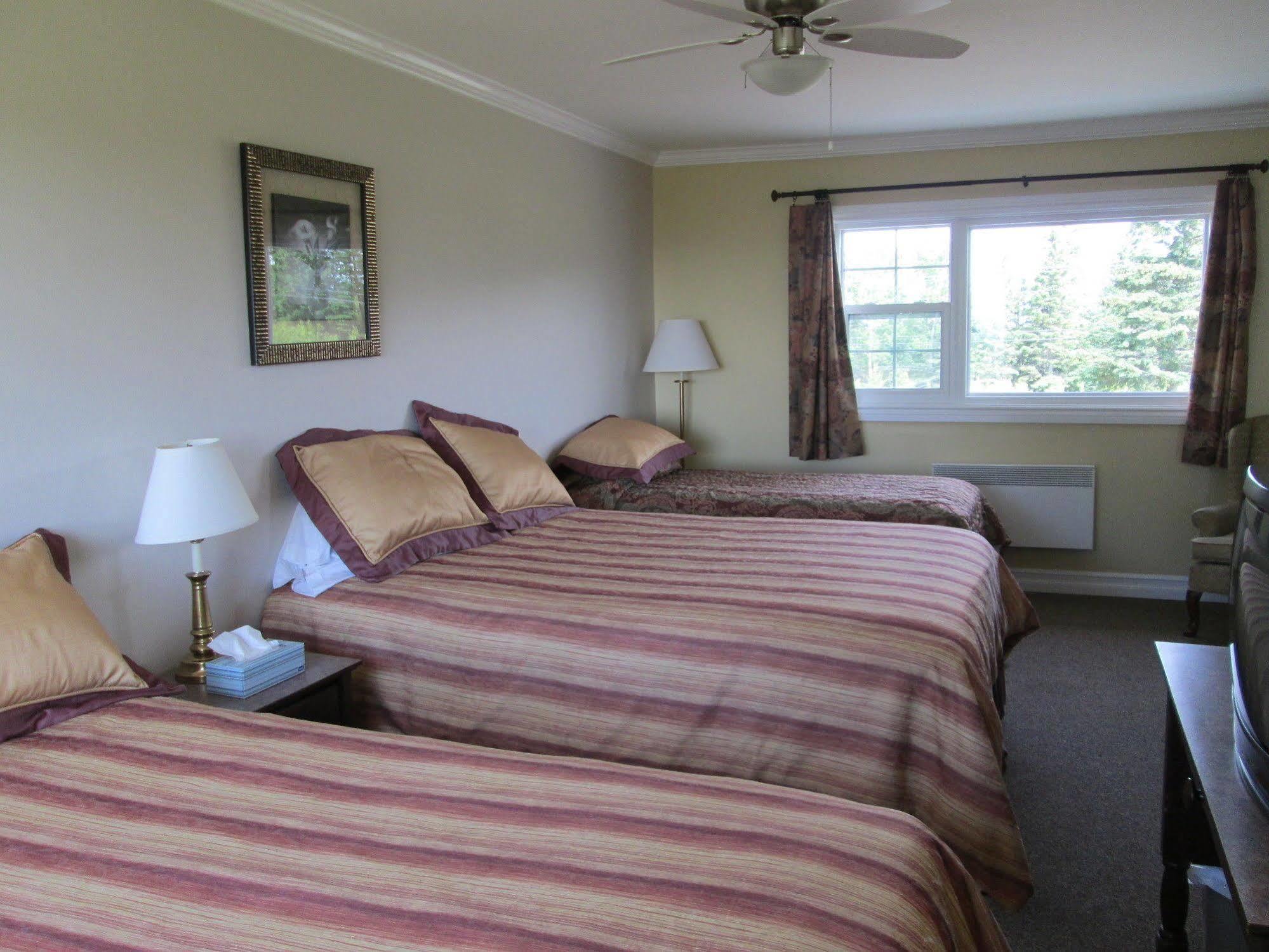 Scenic Motel Монктон Экстерьер фото